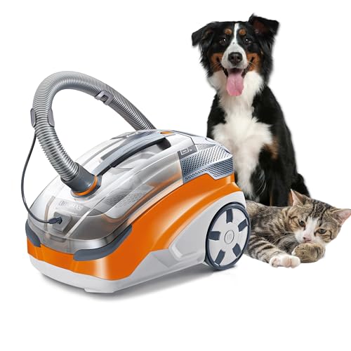 Unser Waschsauger Testsieger: Der Thomas Pet and Family!